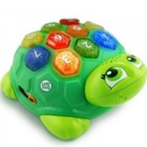 D-83 멜로디 터틀 