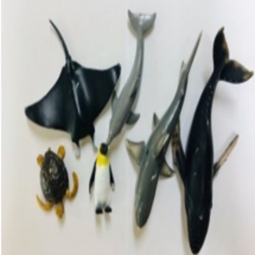 교육바다동물세트