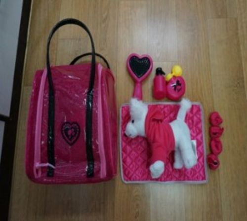 B-33 바비강아지 산책