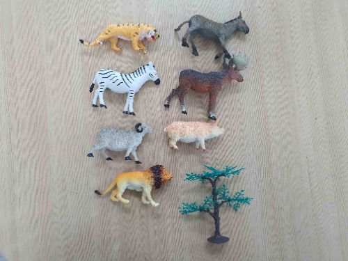 H-53 동물사파리