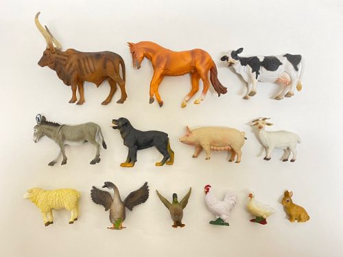 컬렉타교육세트 농장동물13종