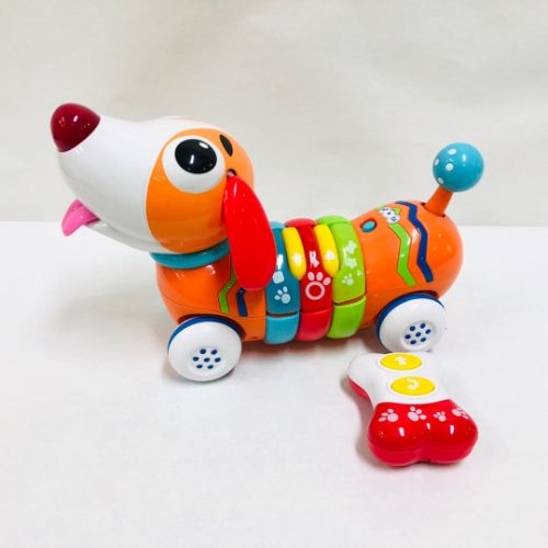 윈펀 레인보우PUP