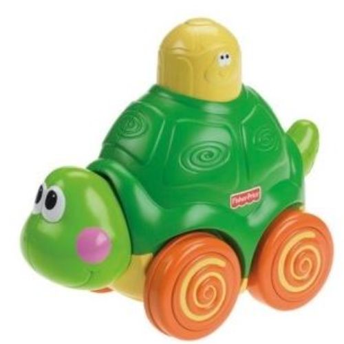 기어가는 아기 거북이