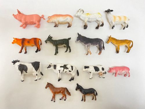 야생탐험(가축)