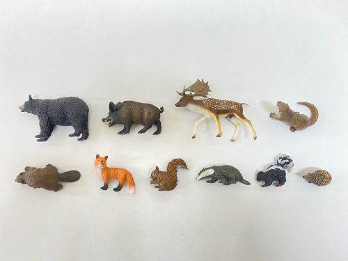 컬렉타교육세트 숲속동물10종