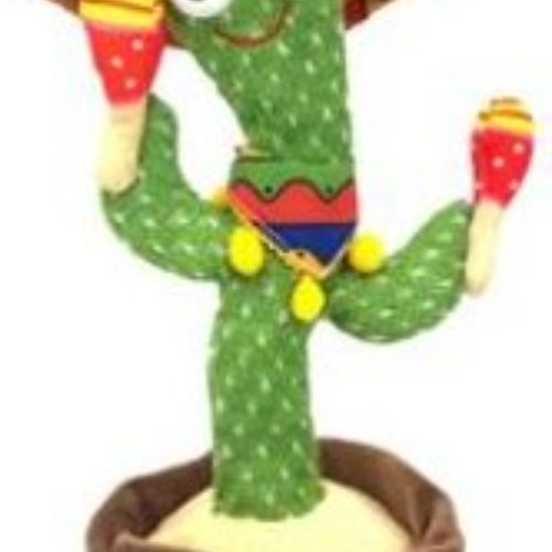 D-154 춤추는 선인장 흔드는 칸다라