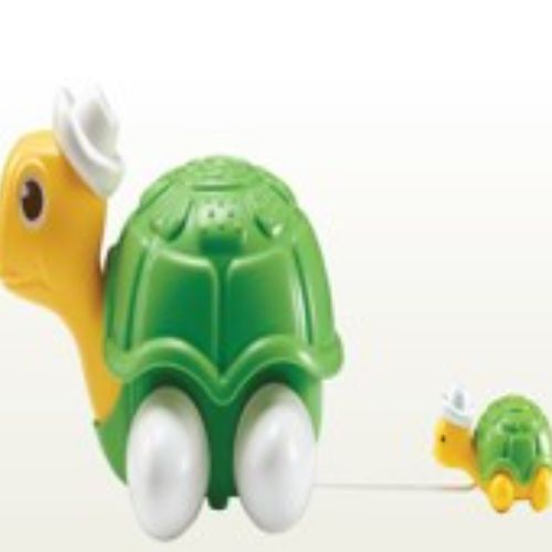 D-73 노래하는 거북이