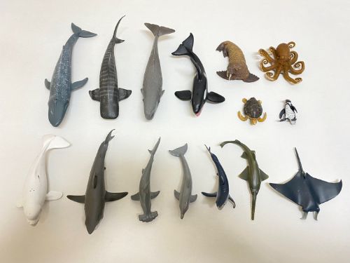 컬렉타교육세트 해양15종