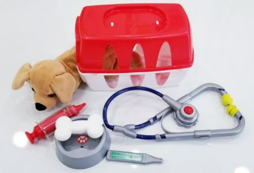 애완동물 병원놀이