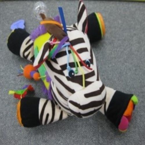 D-22 작은 얼룩말