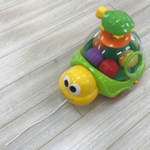 D-107 거북이 공놀이