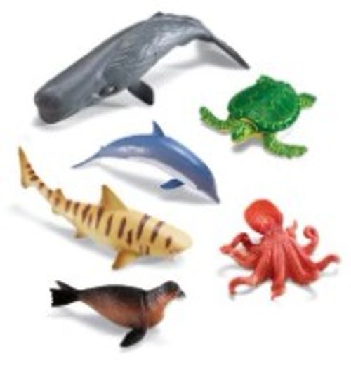 점보 애니멀 바다동물