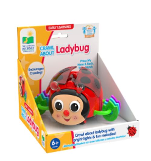 아기친구-무당벌레