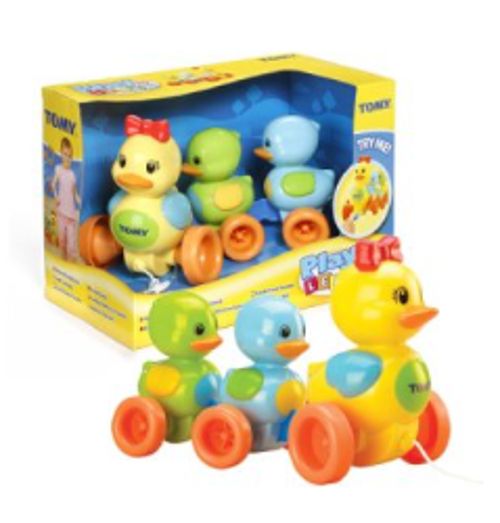 오리가족 나들이