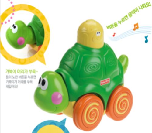 기어가는 아기거북이