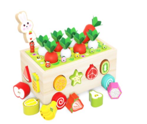 당근채취 과일농장 자동차