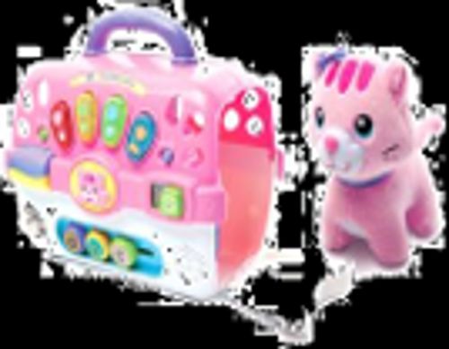 야옹이와 캐리어