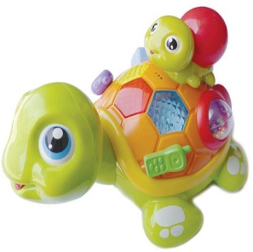 스마일 터틀 패밀리