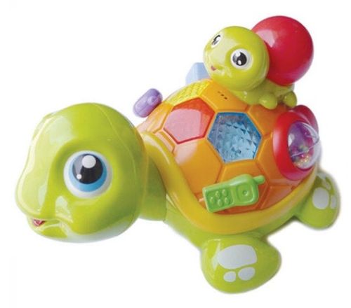 스마트터틀 패밀리