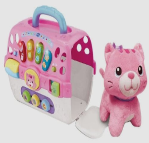 야옹이와 캐리어