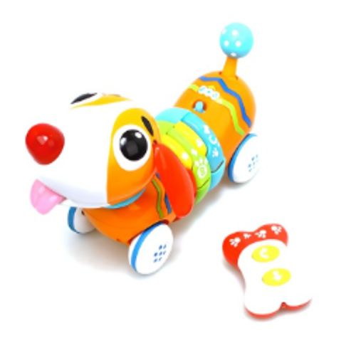 똑똑한 무선 강아지 친구