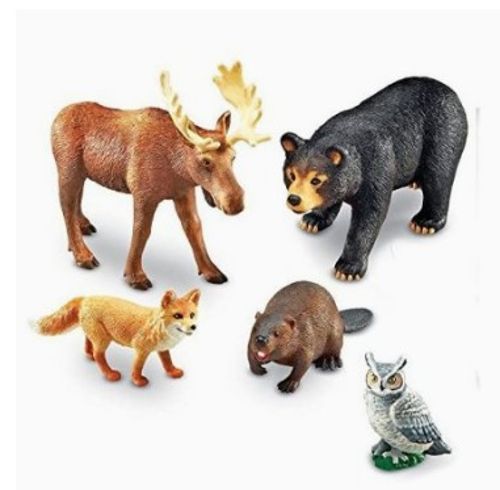 점보 애니멀 숲